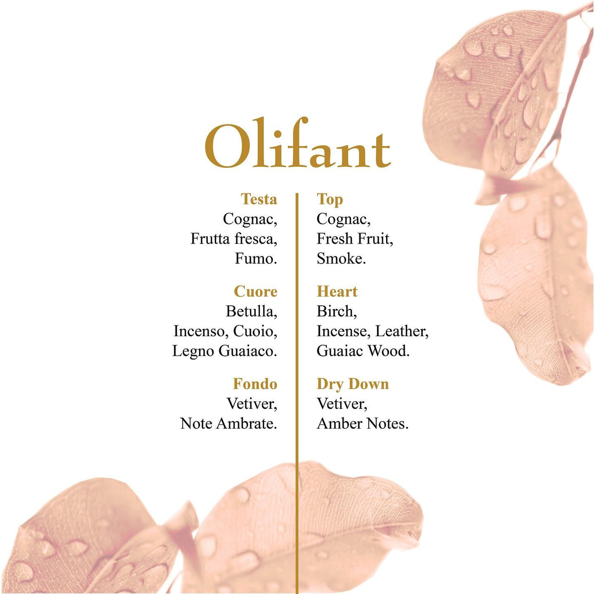 OLFATTOLOGY - Olifant