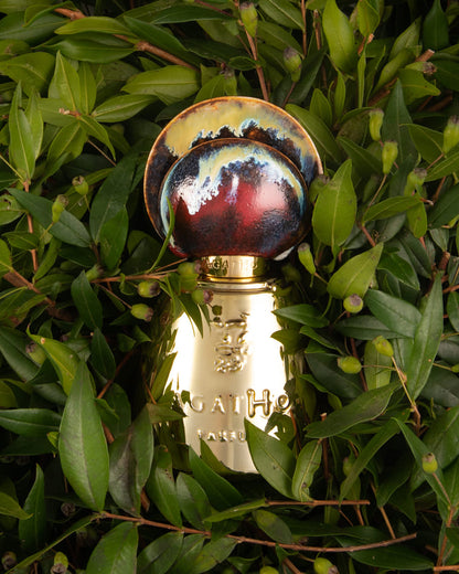 Agatho - Castiamanti