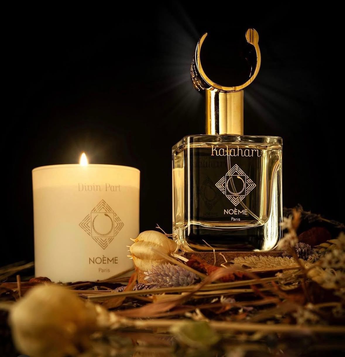 Noème Paris - Kalahari