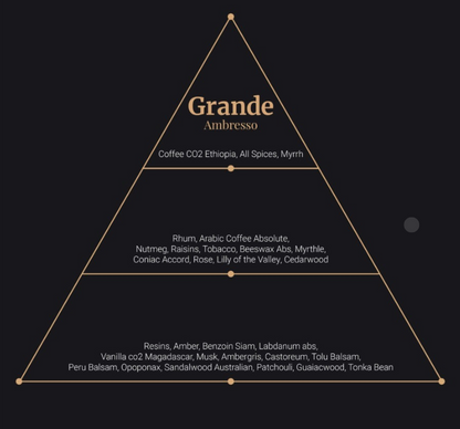 Grande Perfumes – Ambresso Limited Edition