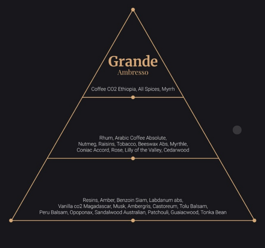 Grande Perfumes – Ambresso Limited Edition