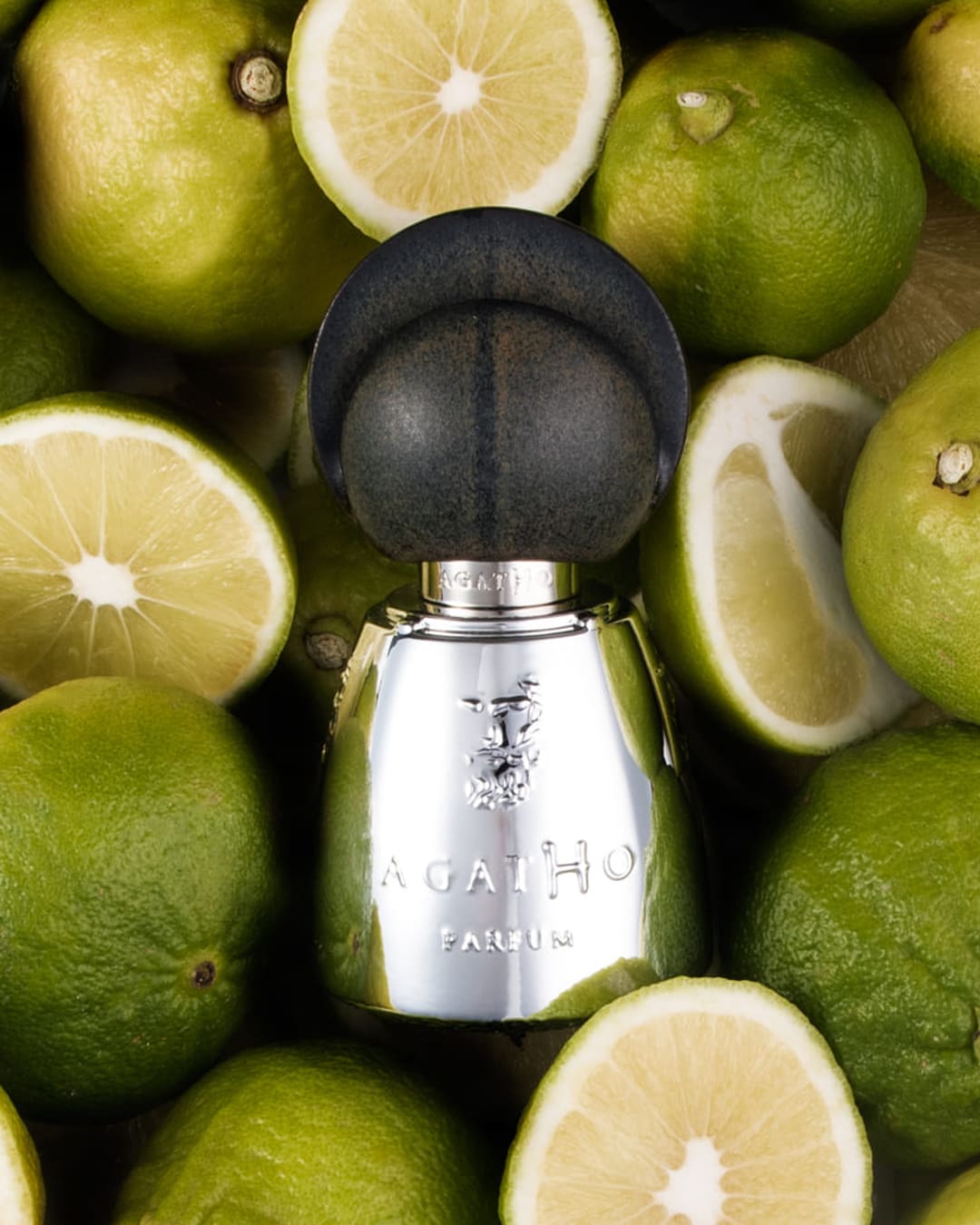 Agatho - Giardino di Ercole