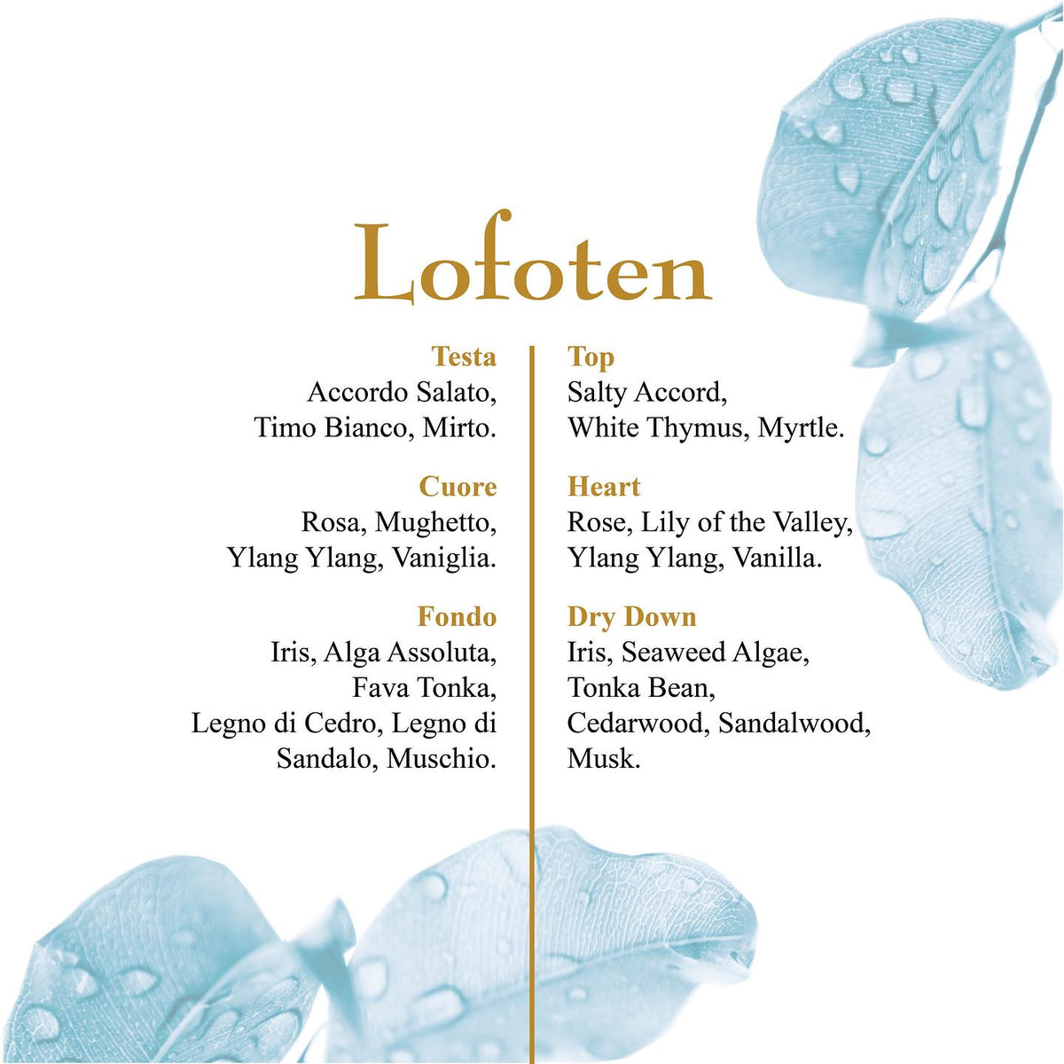 OLFATTOLOGY - Lofoten