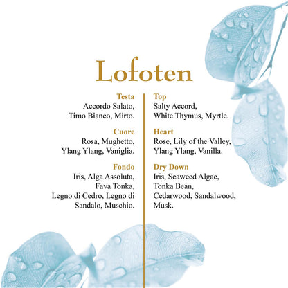 OLFATTOLOGY - Lofoten