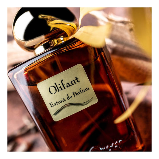 OLFATTOLOGY - Olifant