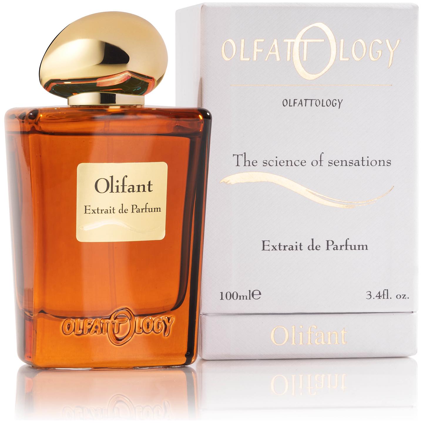 OLFATTOLOGY - Olifant