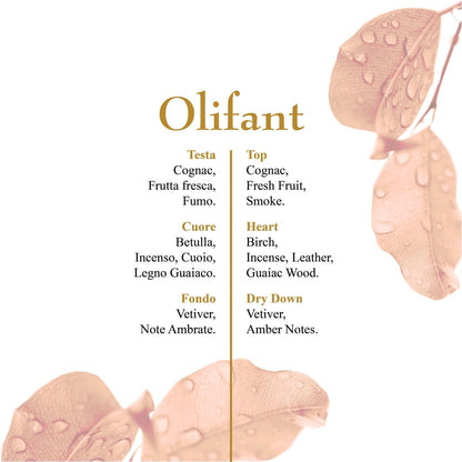 OLFATTOLOGY - Olifant