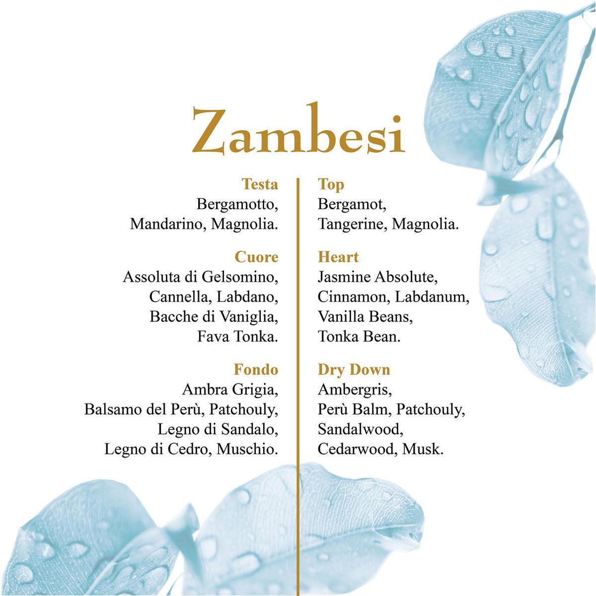 OLFATTOLOGY - Zambesi