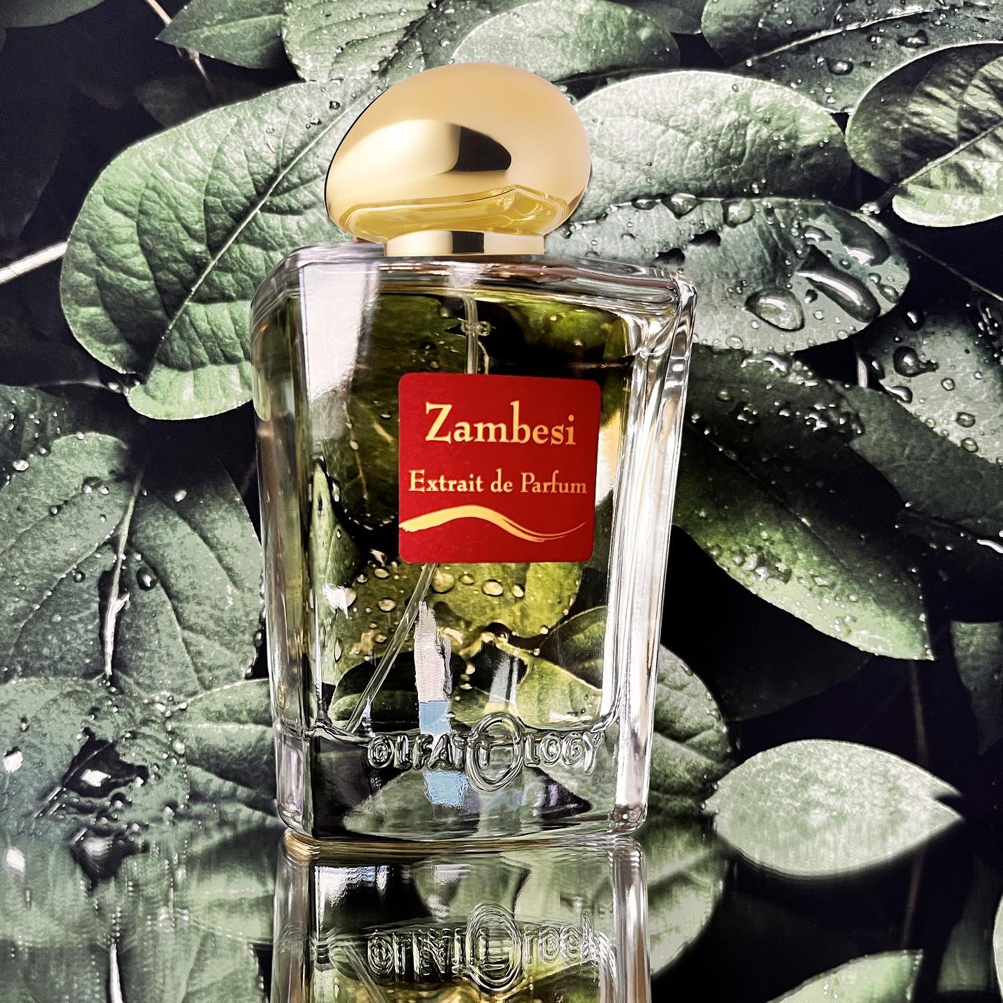 OLFATTOLOGY - Zambesi