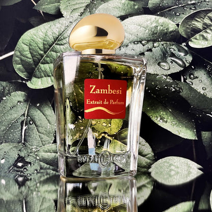 OLFATTOLOGY - Zambesi